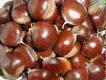 Casta�as 500g