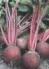 Remolacha roja 500g