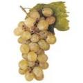 Uva blanca Moscatel 500g