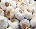 Ajo 500g